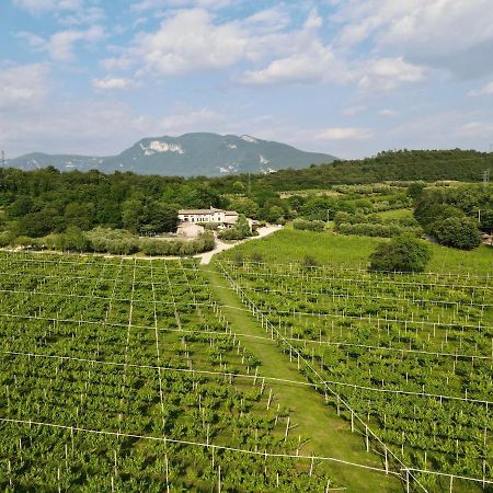 Serene Holiday&Wine Farm Affi Dış mekan fotoğraf