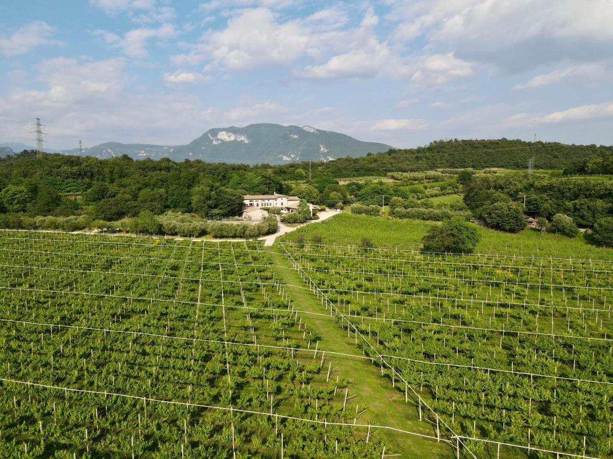 Serene Holiday&Wine Farm Affi Dış mekan fotoğraf