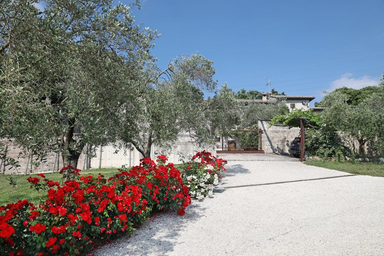 Serene Holiday&Wine Farm Affi Dış mekan fotoğraf