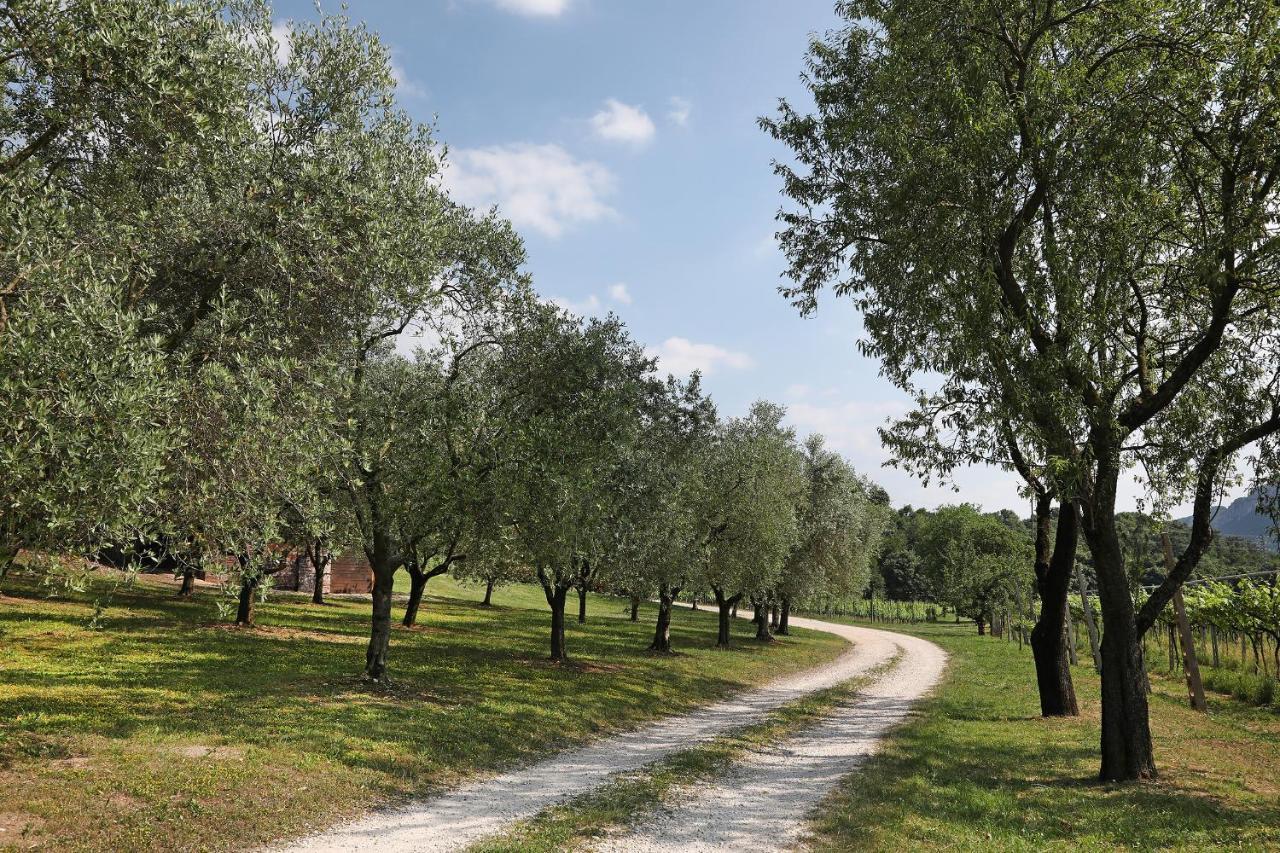 Serene Holiday&Wine Farm Affi Dış mekan fotoğraf