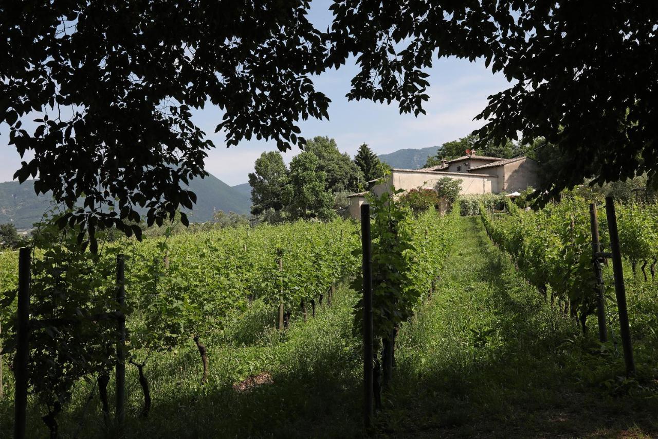 Serene Holiday&Wine Farm Affi Dış mekan fotoğraf